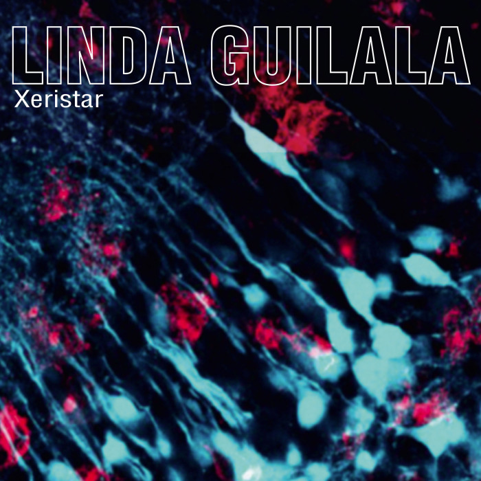 LINDA GUILALA Xeristar